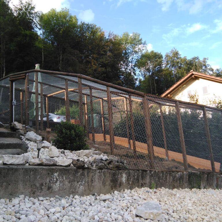 Katzengehege (Nr. 22)