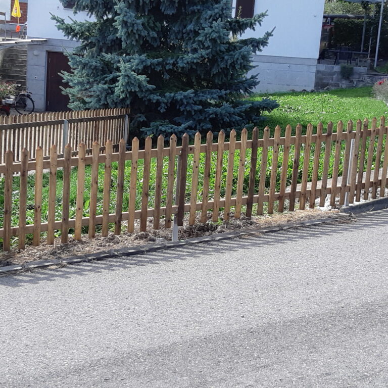 Palisadenzaun (Nr. 8)